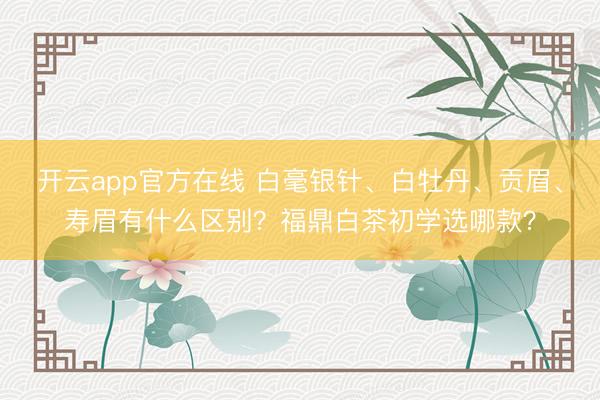 开云app官方在线 白毫银针、白牡丹、贡眉、寿眉有什么区别？福鼎白茶初学选哪款？