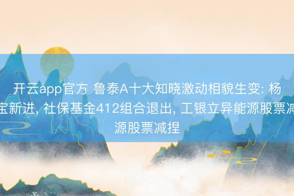 开云app官方 鲁泰A十大知晓激动相貌生变: 杨三宝新进, 社保基金412组合退出, 工银立异能源股票减捏